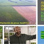 Debate sobre la modificación genética .. del eucalipto