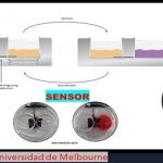 Inventan sensor para reacciones químicas.. reusable
