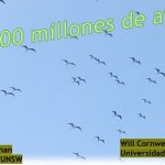 4 especies.. dominan la población mundial de aves
