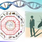 Gran similutud en la arquitectura  del ADN humano y otras especies