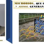 Purificando aguas residuales y generando electricidad