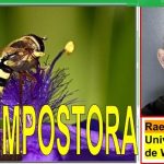 Una mosca impostora..que también poliniza