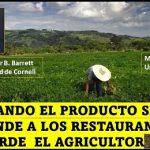 Descubren secretos de la formación de precios .. de los alimentos