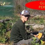El glifosato persiste en el ambiente .. y altera la fertilidad de las flores