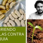 Recubriendo semillas.. contra la salinidad y la sequía