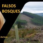 Una cosa es plantar árboles; otra es.. sembrar bosques