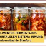 Dieta cargada de alimentos fermentados.. buena para la salud!