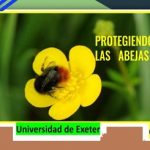 Informatica para conservacion de polinizadores (Cortesía U. de Exeter)
