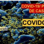 Covid-19: Portal de datos ..de pacientes hospitalizados