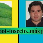 El mini -micro-robot-insecto .. que obtiene un récord Guinness