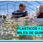 El sol transforma una bolsa plástica.. en 15.000 químicos