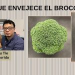 Identifican genes que aceleran la vejez de algunos vegetales