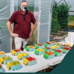 El hombre con récord.. en variedades de tomates