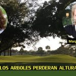 Con el calor y las sequías ..los árboles crecerán menos