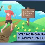 Descubren hormona.. que realiza el mismo papel de la insulina