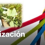 El analfabetismo sigue vigente y afecta en alto grado a las mujeres