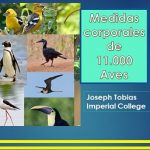 Joseph Tobias: 30 años .. tomando las medidas de las aves