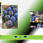 Frutas frescas y procesadas - más y menos- saludables