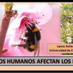 Los riesgos de la fumigación agrícola.. con antibióticos humanos