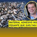 Crean material que imita el pegante que producen los mejillones