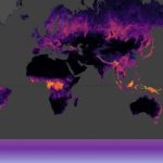 Miden el tamaño de los árboles .. del mundo: ETH Zurich