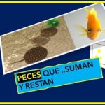 Descubren peces.. con habilidades numéricas: U. de Bonn