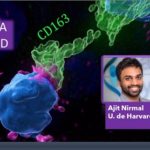 Atlas con  imágenes avanzadas.. de las células cancerosas de la piel