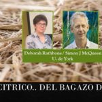 Obtienen ácido cítrico .. del bagazo de la caña de azúcar