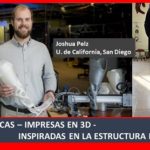Prótesis inspiradas en los cactus..a la medida e impresas en 3D