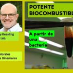 Bacteria da impulso.. a potente biocombustible