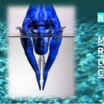 Calculan riesgo de lesiones .. en la práctica de clavados y buceo