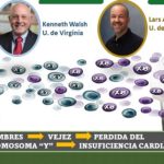 Porqué los hombres mueren .. más pronto que las mujeres