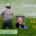 10 de 29 plaguicidas agrícolas.. relacionados con el cáncer de tiroides