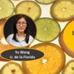Descubren 8 sustitutos naturales del azúcar: en variedad de cítricos