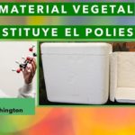 Crean sustituto del poliestireno.. a partir de bases vegetales