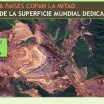 Contabilizan 34.000 zonas mineras.. a lo ancho del Planeta