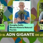 8 años descifrando el genoma de los helechos
