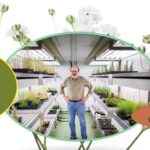 Claves.. en el proceso de crecimiento de las plantas