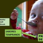 Sabores percibidos por bebés.. definen preferencias en la edad adulta