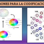 Aplican códigos numéricos para identificar  patrones de colores