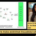 Herramienta informática para listados de palabras afines