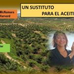 A partir de una levadura.. crean sustituto del aceite de palma