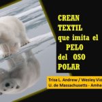 Inventan tela sintética para aguantar el frío.. como el oso polar