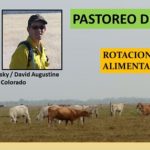 Rotación del ganado.. afecta su alimentación y su peso