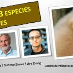 Obtienen el ADN de casi la mitad de las especies de primates
