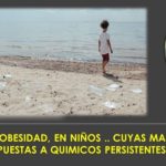 La exposición a químicos persistentes y el riesgo para bebés