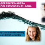 Desarrollan filtro con residuos de madera para atrapar microplásticos