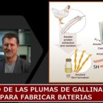 Material de la pluma de gallina..sirve para fabricar membranas utilizadas en baterías