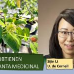 Con levadura..identifican compuestos de plantas medicinales
