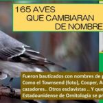 Pájaros con apellidos en inglés.. serán rebautizados, en EE.UU